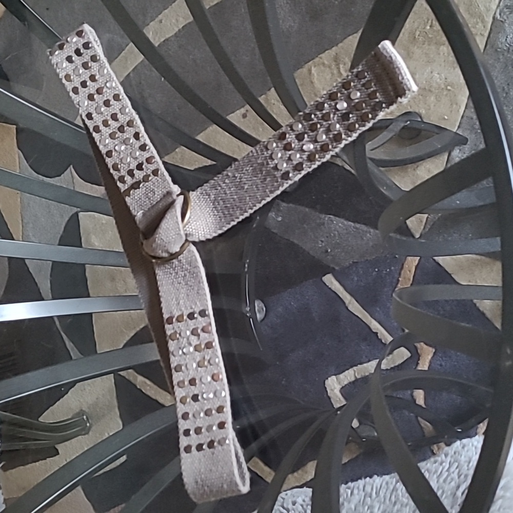 Canvas Belt ❤️